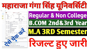 Mgsu University b.com 2nd&3rd Year result 2025 | mgsu University result 2025 kaise check kare