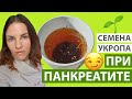 СЕМЕНА УКРОПА ПРИ ПАНКРЕАТИТЕ. О ЛЕЧЕНИИ ТРАВАМИ