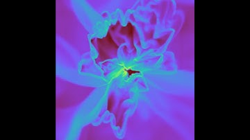 Zoom-in of massive stellar system forming from collapse of a pre-stellar core