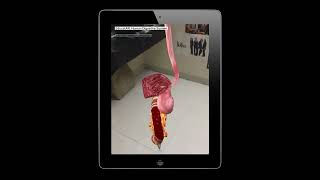 iOS Augmented Reality Application, Human Digestive System screenshot 2