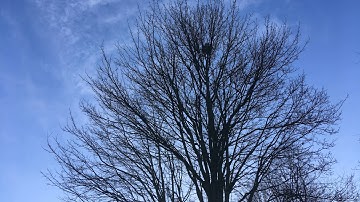 Moving timelapse Smooth Q