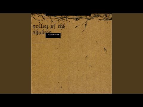 Shadow Huntaz — Deander