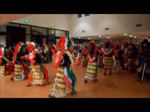 matashines pasos nuevos