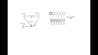 Steps to Create an Agarose Electrophoresis Size Standard using Lambda DNA and PCR