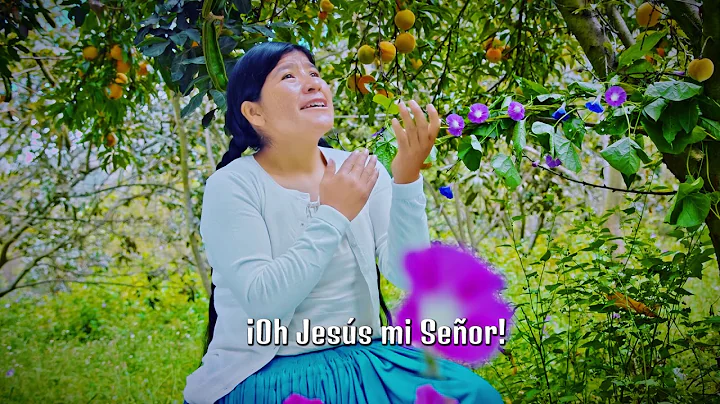 HERMINIA CUSI O. - SALVACIN Y PERDN