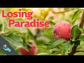 Losing Paradise | Angels and Demons