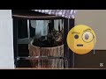 Playing tricks with my cat