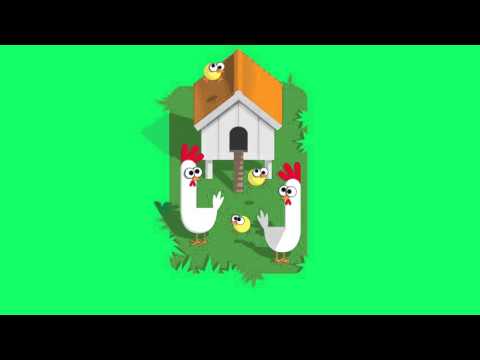 yt