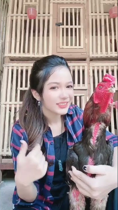 cewek cantik mantap-mantap di kandang ayam