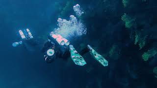 Wreck dive to the Loredan wreck, Sardinia 2021 Resimi