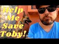 Saving Toby Part 2 | I&#39;m Buying Toby!