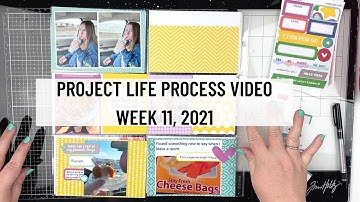 Project Life Process Video| Week 11, 2021