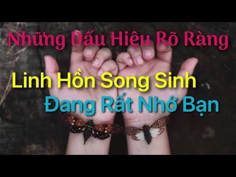 Video: Chưa hết - ai thực sự kiểm soát thế giới?