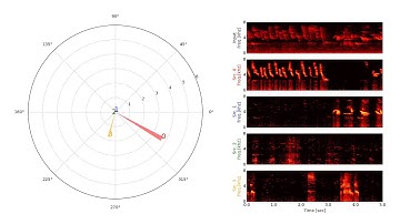 Sound Source Localization and Separation for Bird Choruses