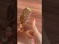 بستنی دبی چاکلت میهن دبی چاکلت بستنی دبی چاکلت بستنی دبی چاکلت میهن دبی چاکلت بستنی دبی چاکلت
