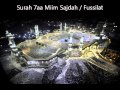 Surah ha mim sajdah fussilat 41  fast  full