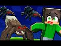 SONO SOPRAVVISSUTO ad un INVASIONE di RAGNI  in Minecraft - BIG SKYBLOCK #7