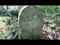 Hidden Graveyard in the Appalachian Forest