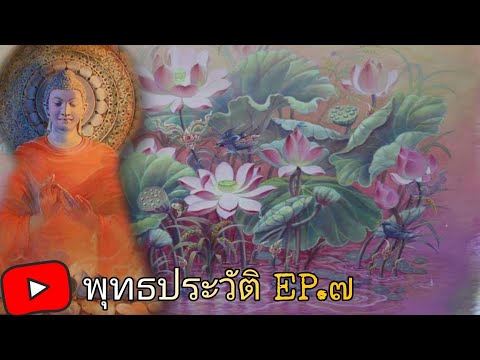 พุทธประวัติ EP.7 บัวสี่เหล่าแยกเหล่าคน