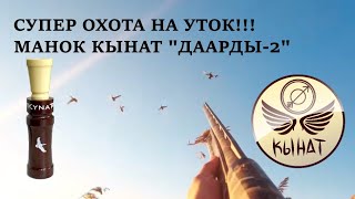 Охота на уток с духовым манком Кынат \