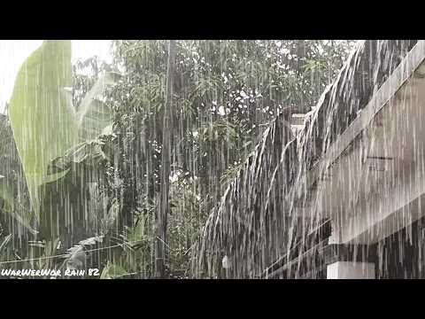 Real Rain Sounds | Deep Sleep | Insomnia Relief | Sleep fast ⛈️