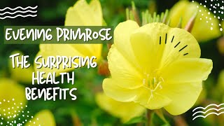 Evening Primrose Herb: A Natural Way to Improve Mood and Reduce Anxiety