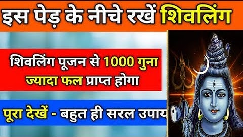 पेड़ के नीचे रख दें यह शिवलिंग 1000 गुना फल प्राप्त होगा - Pandit Pradeep Mishra Sehore Wale