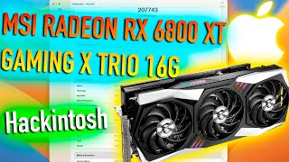 Msi Radeon Rx 6800 Xt Gaming X Trio 16G! Hackintosh - Alexey Boronenkov | 4K