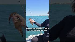 Fishing on our Quintrex 600 Freedom Sports #oldmoistyfishsmasher