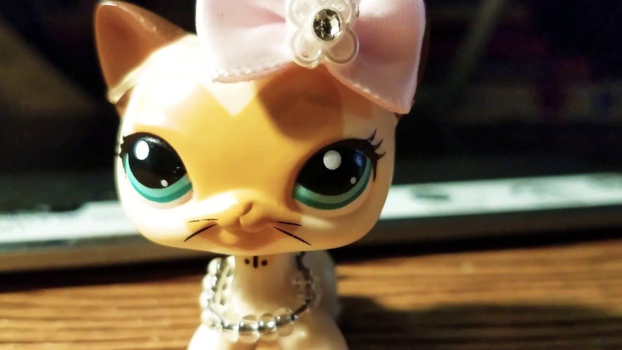 I am so so so sorry we're not making LPS videos for a week but today I