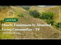 Huerta tumianuma by abundant living communitiest6  vilcabamba ecuador real estate