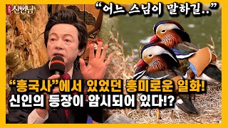 신인의 등장을 암시하다? 흥국사에서의 새롭고 흥미로운 일화들 【 오늘의신인님 】