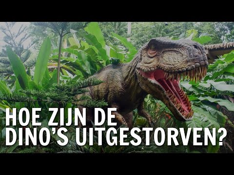 Video: Plante Uit Die Dinosourus -era