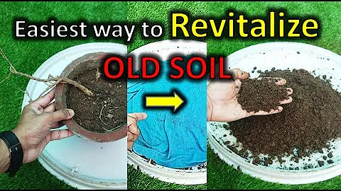 Easy method to revitalize old potting soil to reuse