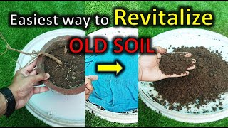 Easy method to revitalize old potting soil to reuse