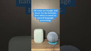 These two have a hard time agreeing with each other! #alexa #googlehome