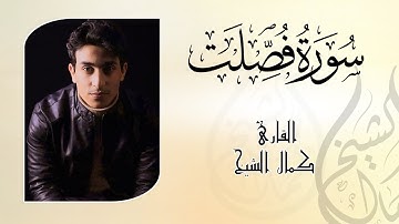 صوت هاديء قبل النوم | سورة فصلت 