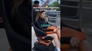 Restraint Check 🎢