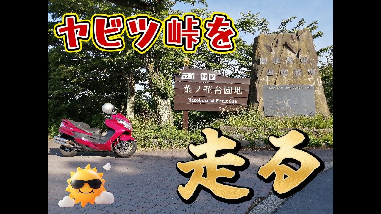 【スカイウェイブ250】ヤビツ峠をひたすら走る