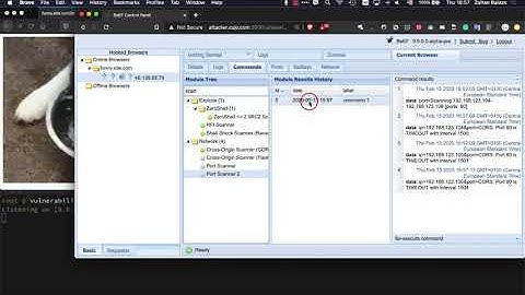 IoT Device Attack Using BeEF – CUJO AI Labs on Security