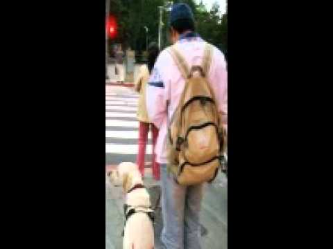 一名中年婦女欺負盲人.wmv