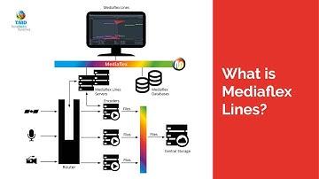Mediaflex Lines