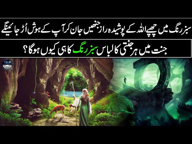 The Great Secret That Allah Has Given to Green Color - Green Color u0026 Quran - Quran Miracles class=