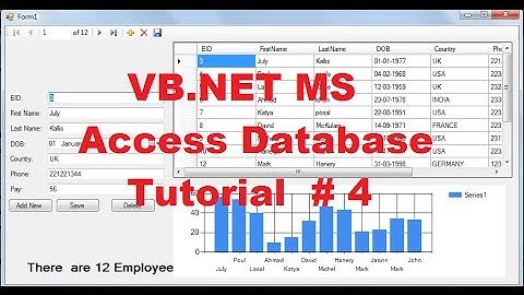 Tutoriel 4 sur les bases de données MS Access VB.NET : Comment utiliser un graphique avec une bas...
