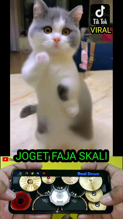 Joget...FAJA SKALI - Angga dermawan cover Real Drum #realdrum #realdrumcover #drumcover