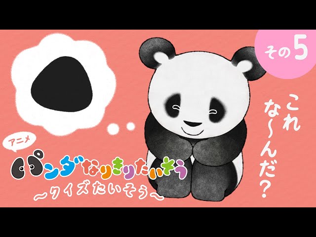 What could it be??【5】Panda Pretend Exercise Quiz♪Fluffy & Cute