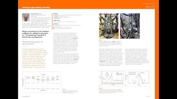 Costel Petrache - ILL Annual report 2019