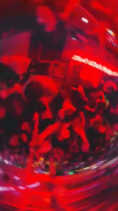 Eulax Pub #shorts #short #shortvideo