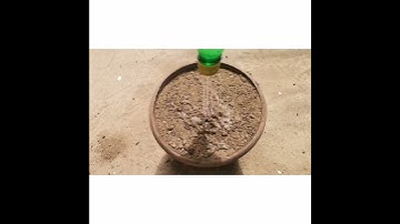Watch what the eggshell did in the soil - an amazing result 😯👌
