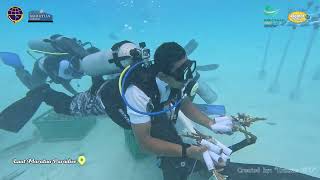 HARHUBNAS 2024 (TRANSPLANTASI TERUMBU KARANG DI PULAU MARATUA)